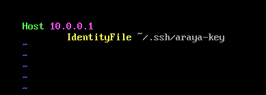 ssh-config